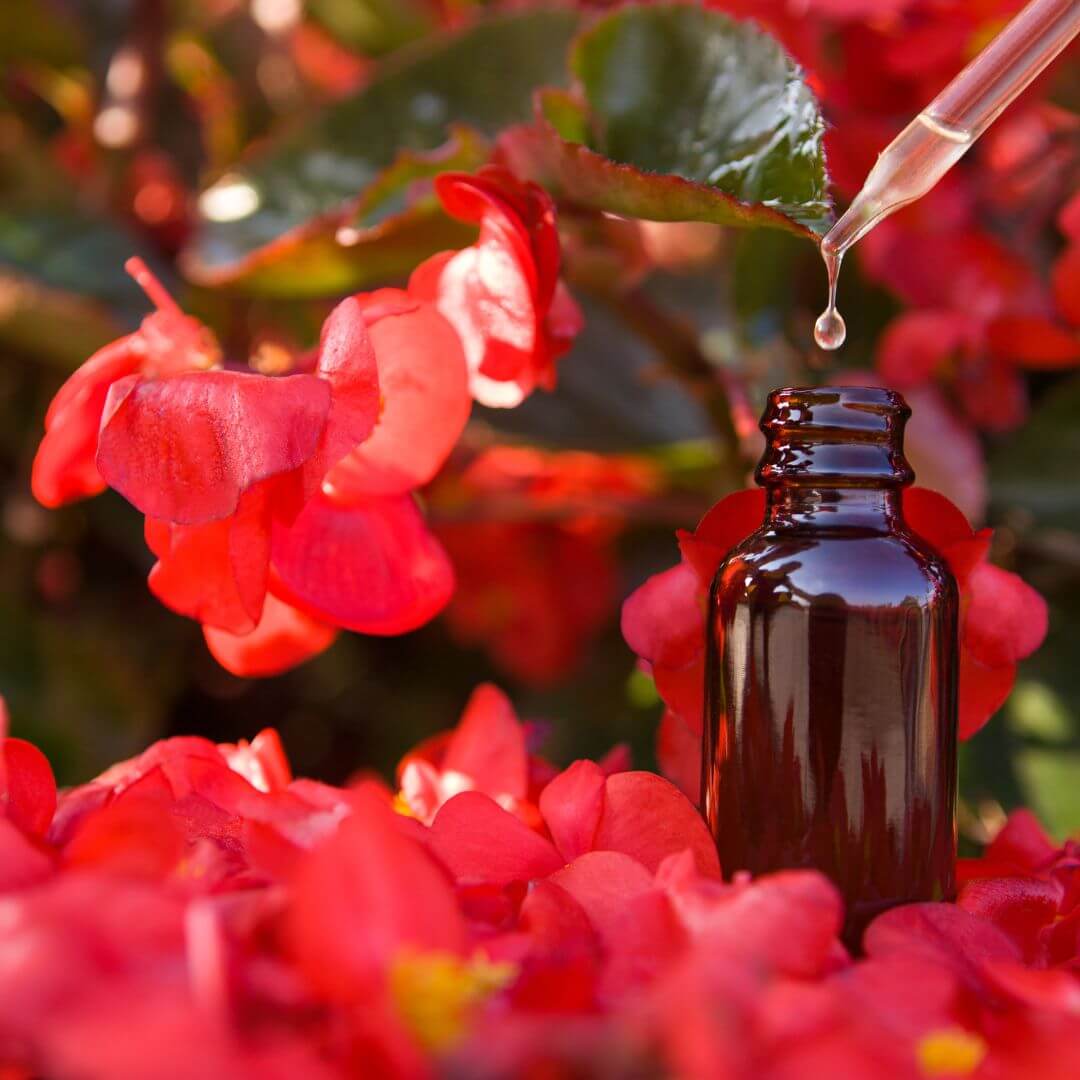 botella de flores de bach